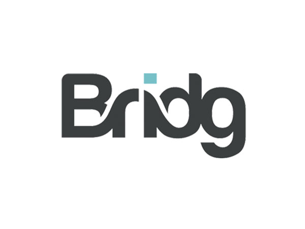 bridg logo
